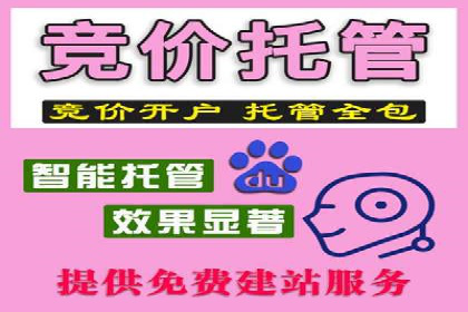 热门SEM运营公司案例深度剖析